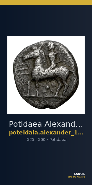 Potidaea Alexander 1953 Period I.A. b1-2 — CANOA
