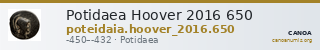 Potidaea Hoover 2016 650 — CANOA