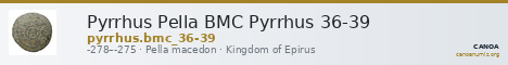 Pyrrhus Pella BMC Pyrrhus 36-39 — CANOA