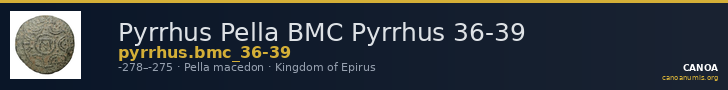 Pyrrhus Pella BMC Pyrrhus 36-39 — CANOA