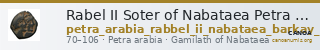 Rabel II Soter of Nabataea Petra Barkay 2019 224, 235-6 — CANOA