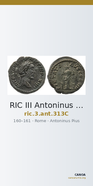 RIC III Antoninus Pius 313C — CANOA