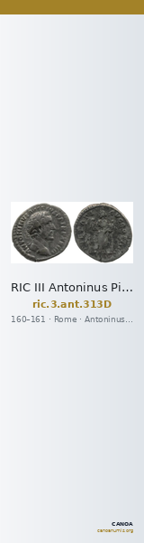 RIC III Antoninus Pius 313D — CANOA