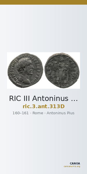 RIC III Antoninus Pius 313D — CANOA