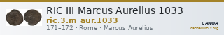 RIC III Marcus Aurelius 1033 — CANOA
