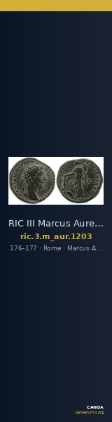 RIC III Marcus Aurelius 1203 — CANOA
