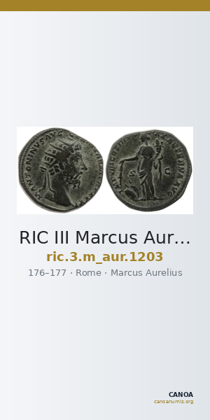 RIC III Marcus Aurelius 1203 — CANOA