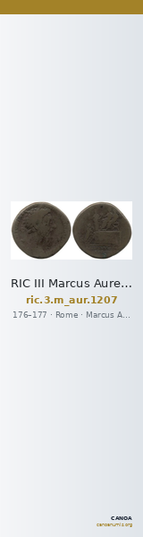 RIC III Marcus Aurelius 1207 — CANOA
