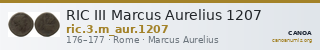 RIC III Marcus Aurelius 1207 — CANOA