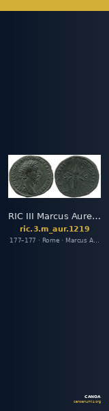 RIC III Marcus Aurelius 1219 — CANOA