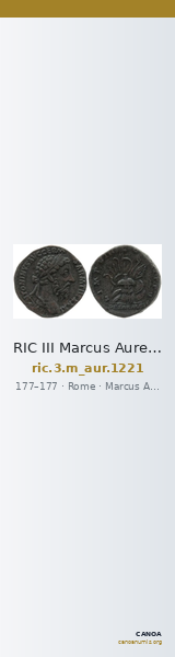 RIC III Marcus Aurelius 1221 — CANOA