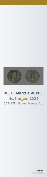 RIC III Marcus Aurelius 1228 — CANOA