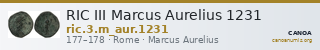 RIC III Marcus Aurelius 1231 — CANOA