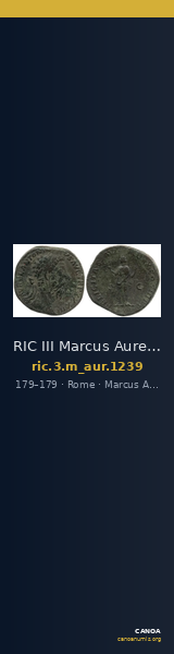 RIC III Marcus Aurelius 1239 — CANOA