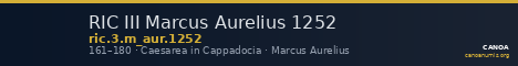 RIC III Marcus Aurelius 1252 — CANOA