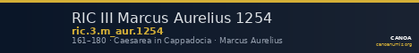 RIC III Marcus Aurelius 1254 — CANOA
