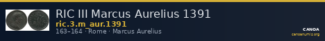 RIC III Marcus Aurelius 1391 — CANOA
