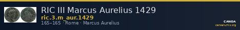 RIC III Marcus Aurelius 1429 — CANOA