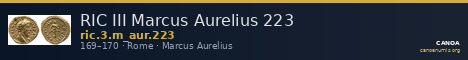 RIC III Marcus Aurelius 223 — CANOA