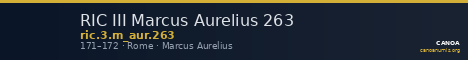 RIC III Marcus Aurelius 263 — CANOA