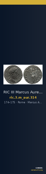 RIC III Marcus Aurelius 314 — CANOA