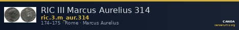 RIC III Marcus Aurelius 314 — CANOA