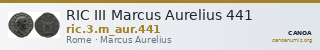 RIC III Marcus Aurelius 441 — CANOA