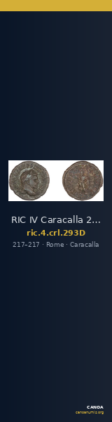 RIC IV Caracalla 293D — CANOA