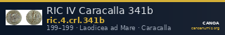 RIC IV Caracalla 341b — CANOA