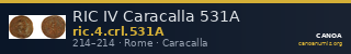 RIC IV Caracalla 531A — CANOA