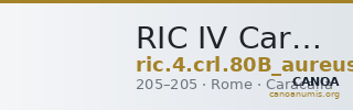 RIC IV Caracalla 80B (aureus) — CANOA