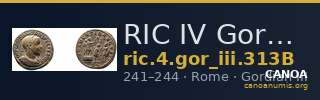 RIC IV Gordian III 313B — CANOA