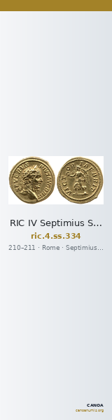 RIC IV Septimius Severus 334 — CANOA