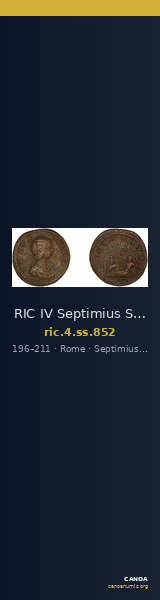 RIC IV Septimius Severus 852 — CANOA