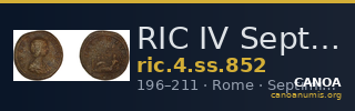 RIC IV Septimius Severus 852 — CANOA