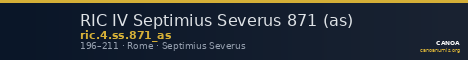 RIC IV Septimius Severus 871 (as) — CANOA
