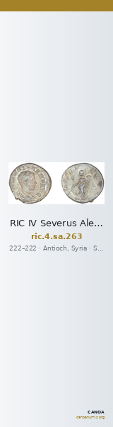 RIC IV Severus Alexander 263 — CANOA