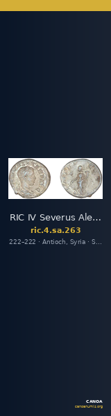 RIC IV Severus Alexander 263 — CANOA
