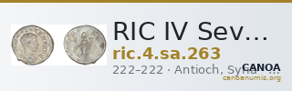 RIC IV Severus Alexander 263 — CANOA