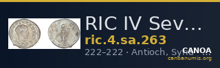 RIC IV Severus Alexander 263 — CANOA
