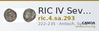 RIC IV Severus Alexander 293 — CANOA