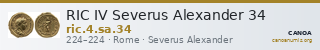 RIC IV Severus Alexander 34 — CANOA