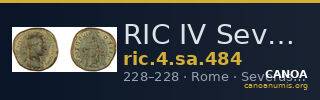 RIC IV Severus Alexander 484 — CANOA