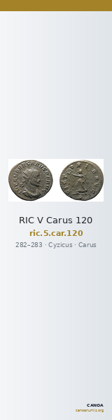 RIC V Carus 120 — CANOA