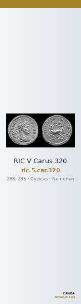 RIC V Carus 320 — CANOA