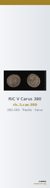 RIC V Carus 380 — CANOA