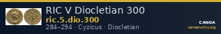 RIC V Diocletian 300 — CANOA