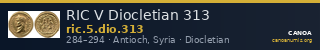 RIC V Diocletian 313 — CANOA