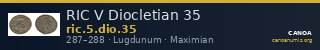 RIC V Diocletian 35 — CANOA