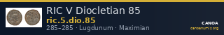 RIC V Diocletian 85 — CANOA